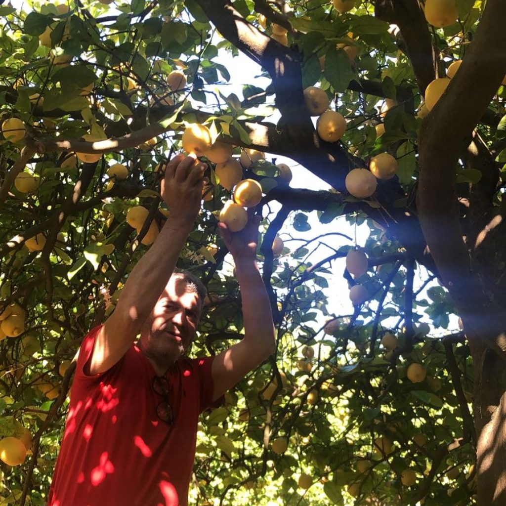 Immagine WhatsApp 2024-05-11 ore 18.06.42_86422513