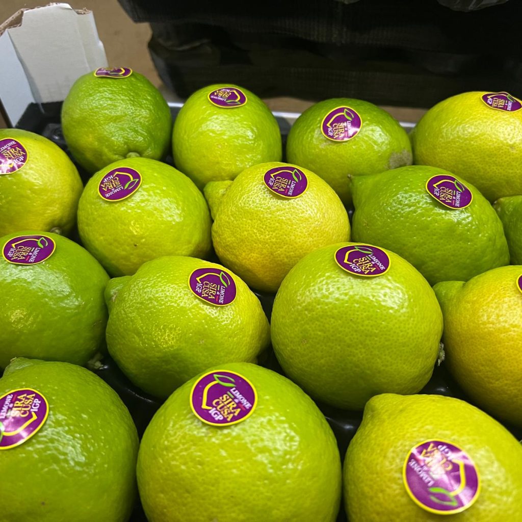 Immagine WhatsApp 2024-05-15 ore 17.22.58_40e73dc1