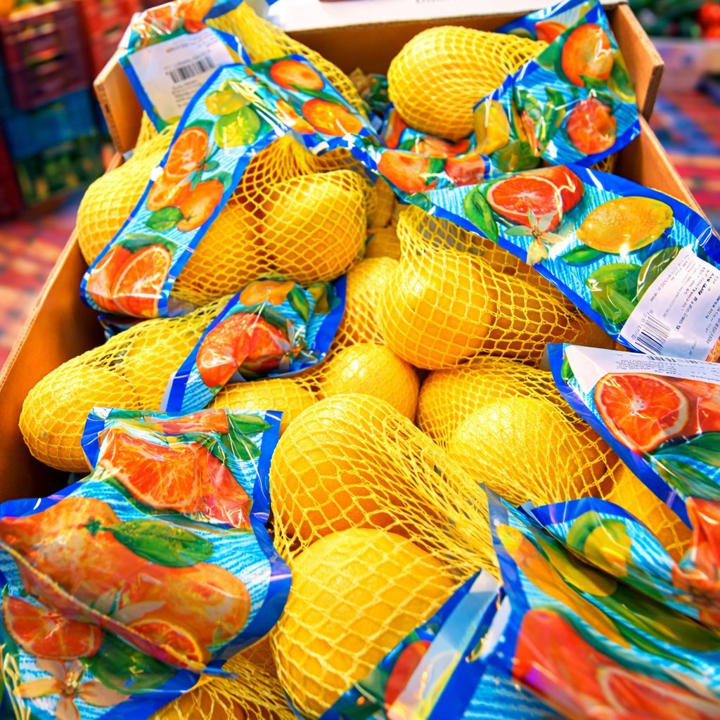 WhatsApp Image 2026-04-04 at 11.55.33