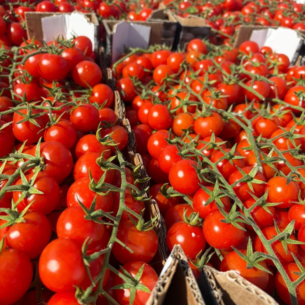 WhatsApp Image 2026-04-04 at 12.05.16